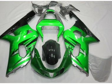 Economici 2001-2003 Verde & Argento GSXR 600-750 Carena