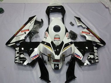 Economici 2003-2004 Playboy CBR600RR Carena