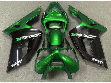 Economici 2003-2004 Verde Lucido & Nero ZX6R Carena