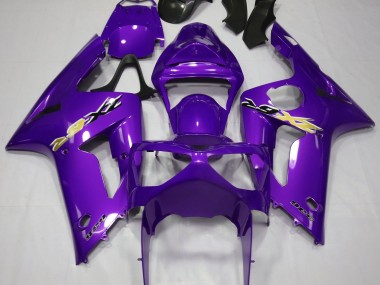 Economici 2003-2004 Viola Lucido ZX6R Carena