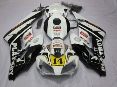 Economici 2004-2005 Playboy CBR1000RR Carena