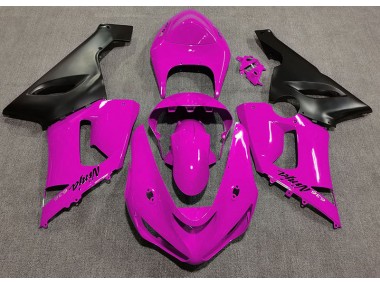 Economici 2005-2006 Rosa Lucido ZX6R Carena