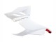 Carena Moto Ducati Panigale V2 2020-2024 - Bianco Rosso Nero Opaco