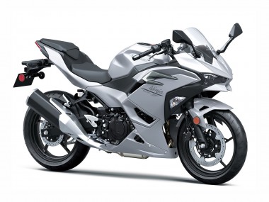 Carena Moto Kawasaki Ninja 500 EX500R 2024-2025 - Metallico Argento Ninja Economici