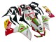 Carena Moto Aprilia RS4 50 125 2012-2018 - Bianco Rosso Verde Giallo Alitalia