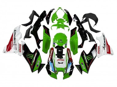 Carena Moto Kawasaki ZX10R 2021-2025 - Verde Nero Bianco Rosso Blu Showr Elf Mostro Economici