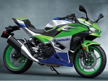 Carena Moto Kawasaki Ninja 500 EX500R 2024-2025 - Argento Verde Blu Economici